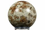 Polished Garnet In Wollastonite Sphere - Namibia #343958-1